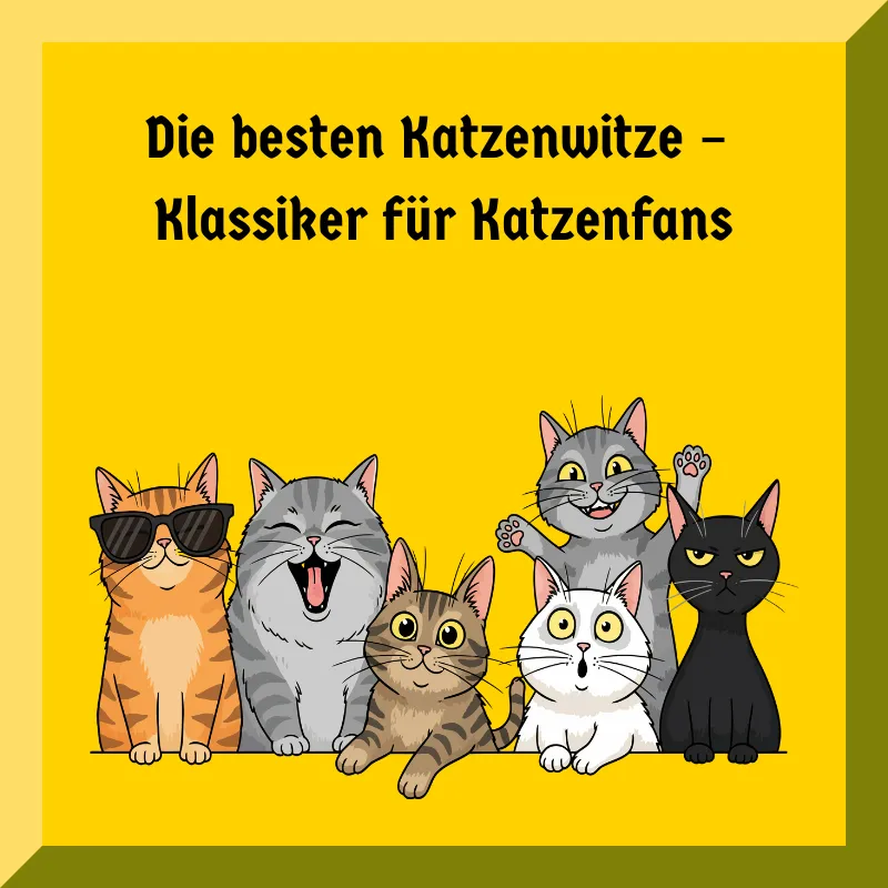 Die besten Katzenwitze – Klassiker für Katzenfans