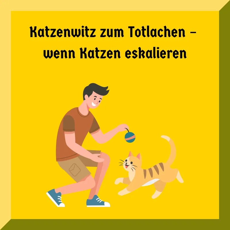 Katzenwitz zum Totlachen – wenn Katzen eskalieren